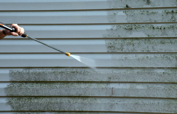 Best Animal Enclosure Cleaning  in Cypress Quarters, FL